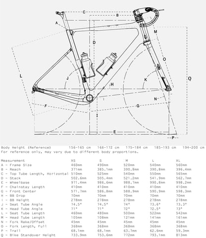 RINOS Carbon Rennrad 700C Shimano 105 Di2 R7150 24-Gang Odin 6.0