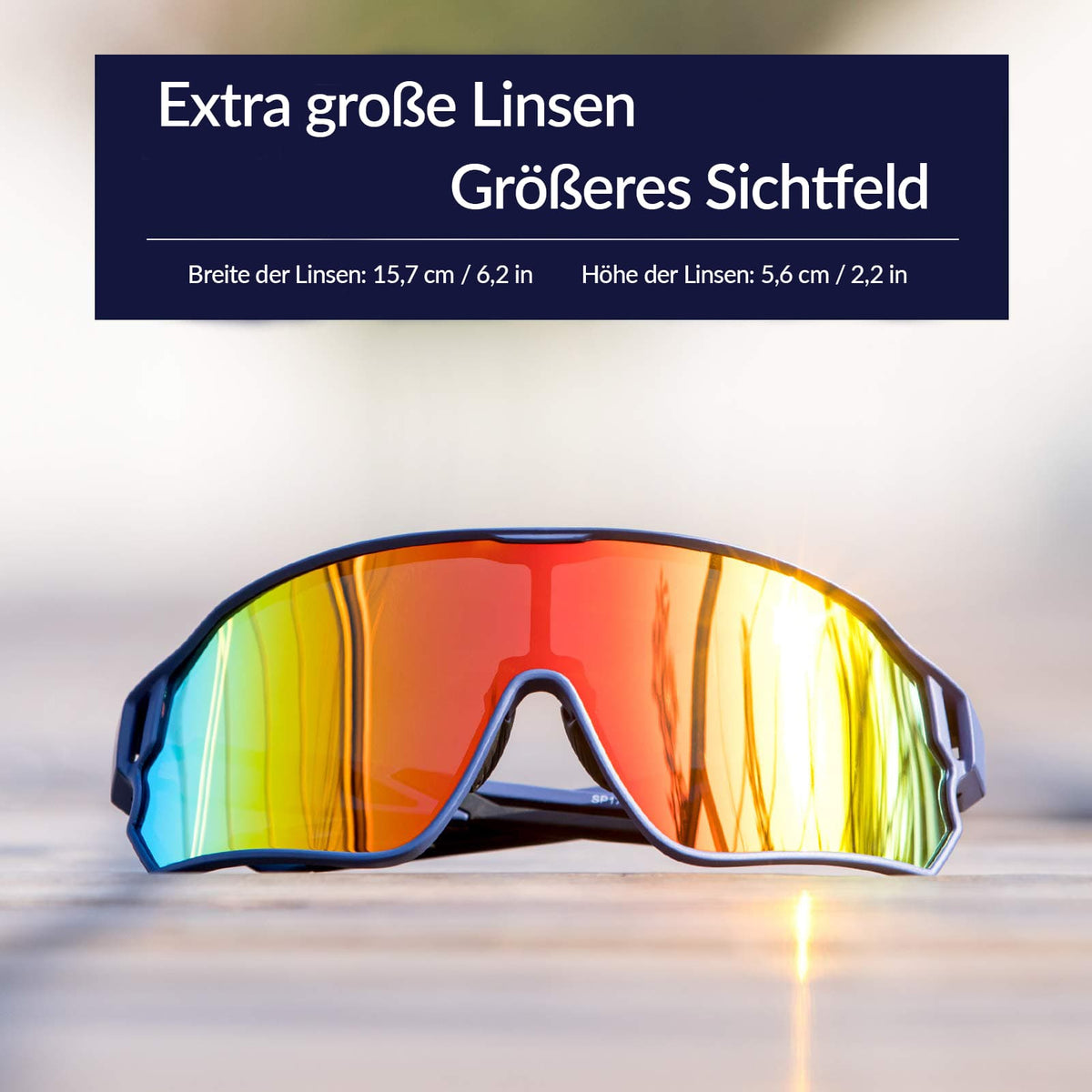 ROCKBROS 10134 Fahrradbrille Polarisiert Sonnenbrille mit UV400-Schutz