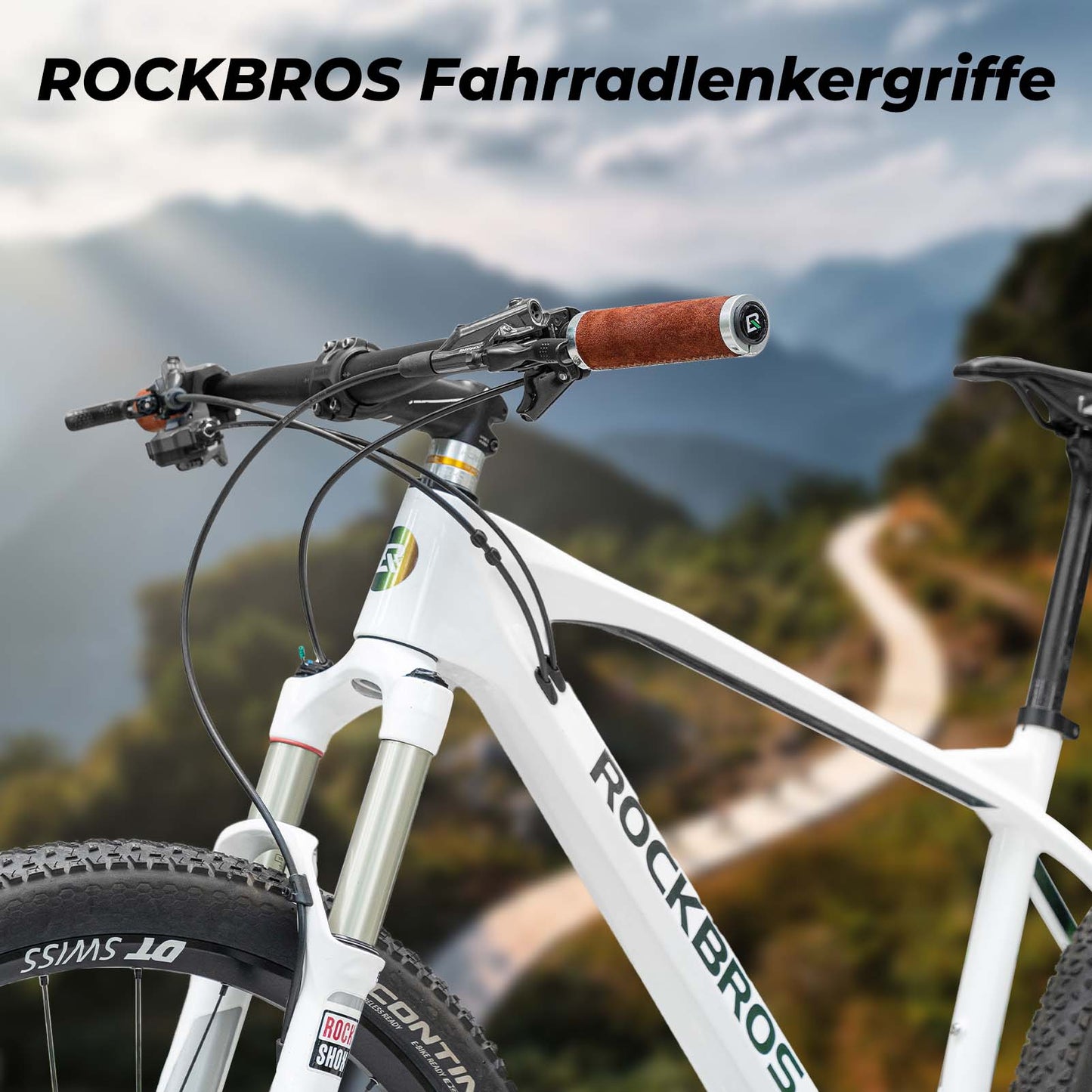 MTB Griffe Ergonomisch Lenkergriffe Rutschfester für 22 mm ROCKBROS