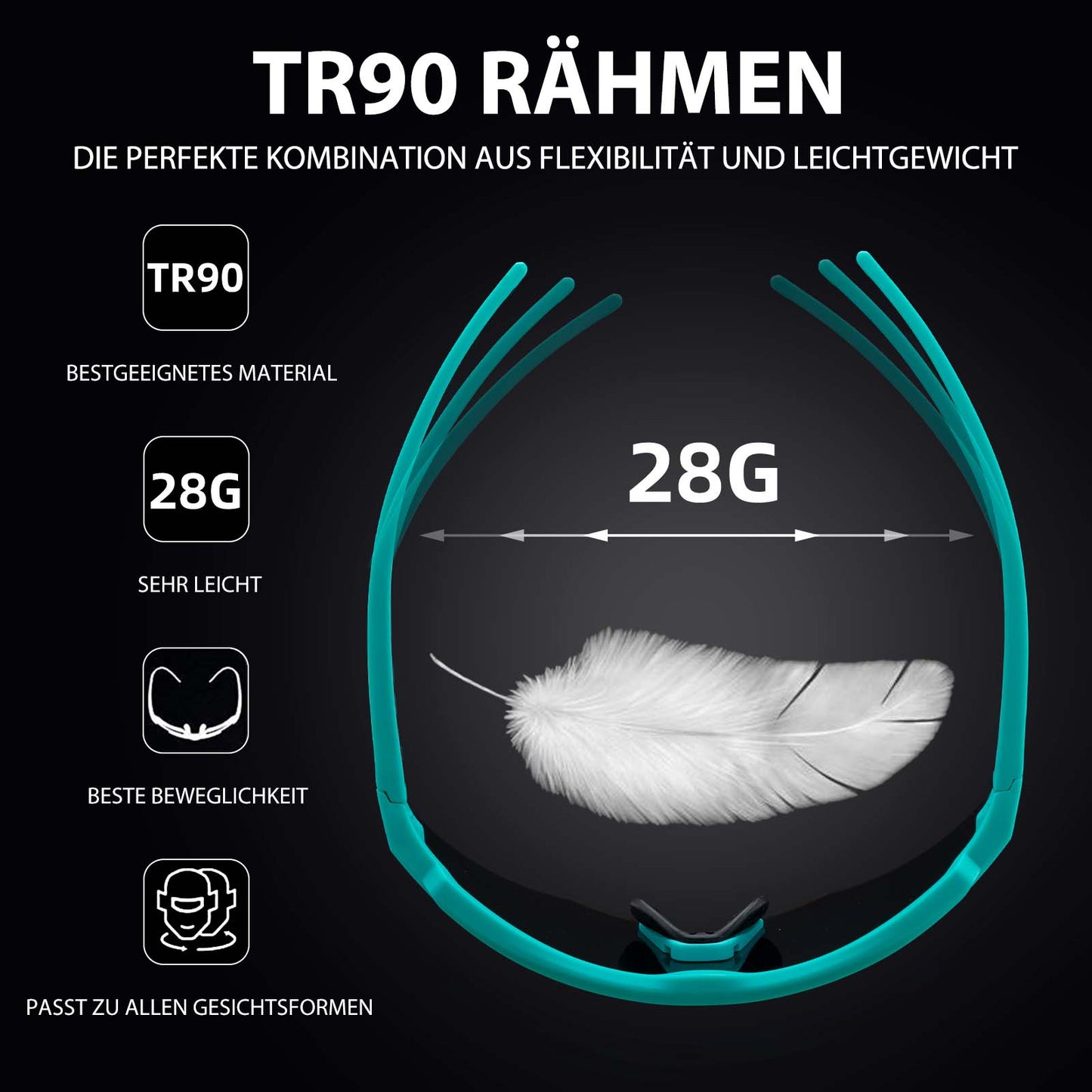 Polarisierte Fahrradbrille mit 4 Wechselgläser ROCKBROS